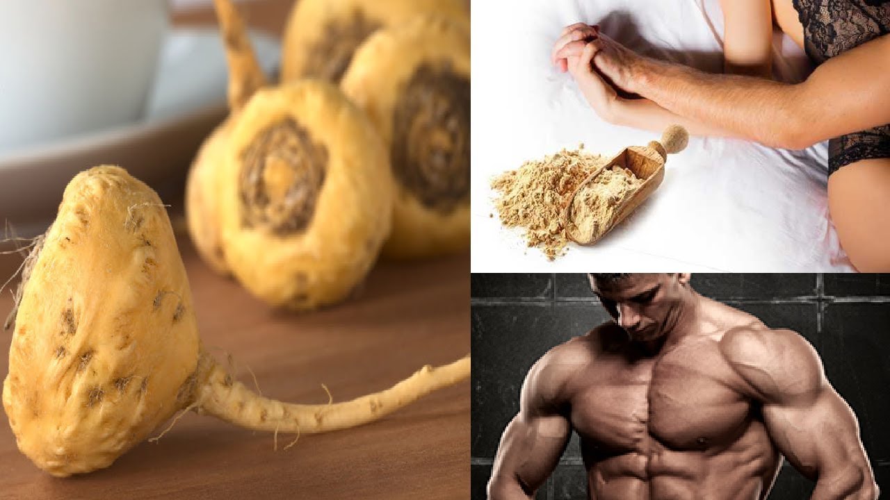La maca bio pour les hommes pour des raisons de virilité et de fertilité, mais aussi comme anti cancer de la prostate